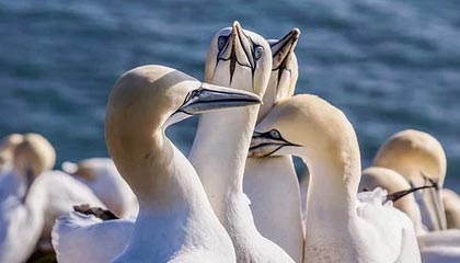 爱游戏游戏平台-马德兴：新政推出标志中国足球“金元时代”终结！